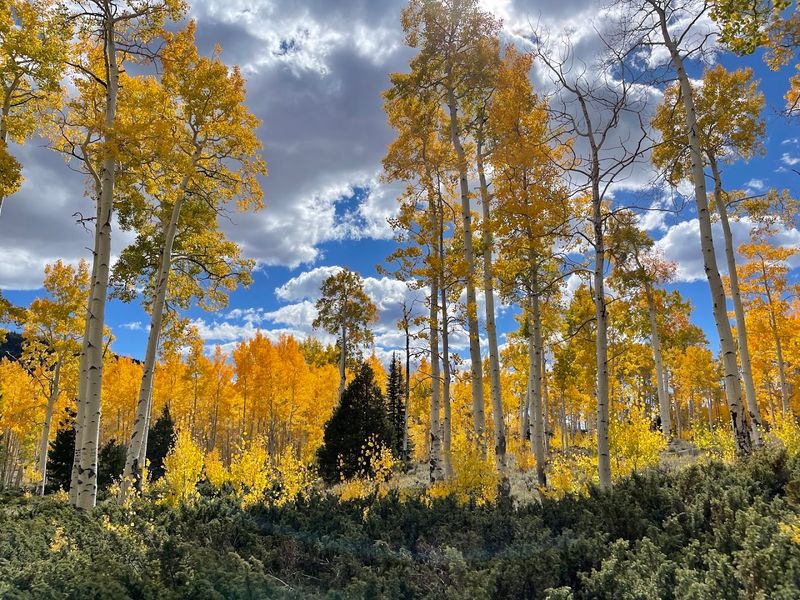 Camping Near Pando And Making A Full Trip Out Of The Visit