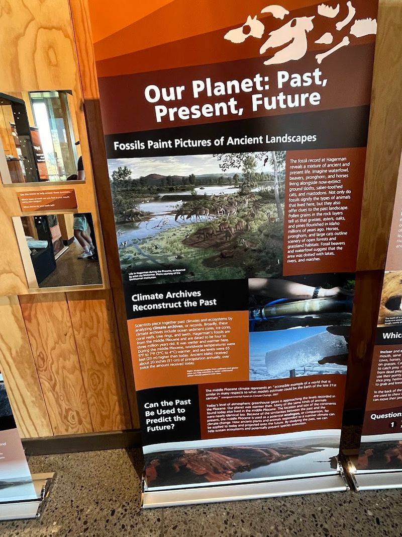 The Pliocene Ecosystem Explained