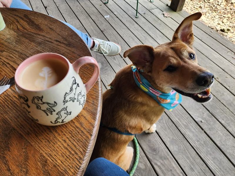 The Warm, Pet-Friendly Vibe That Keeps Guests Coming Back