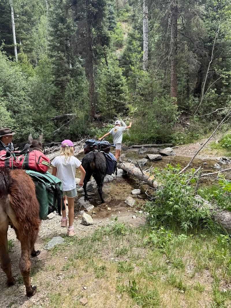 Sure-Footed Hikers With Plenty Of Personality