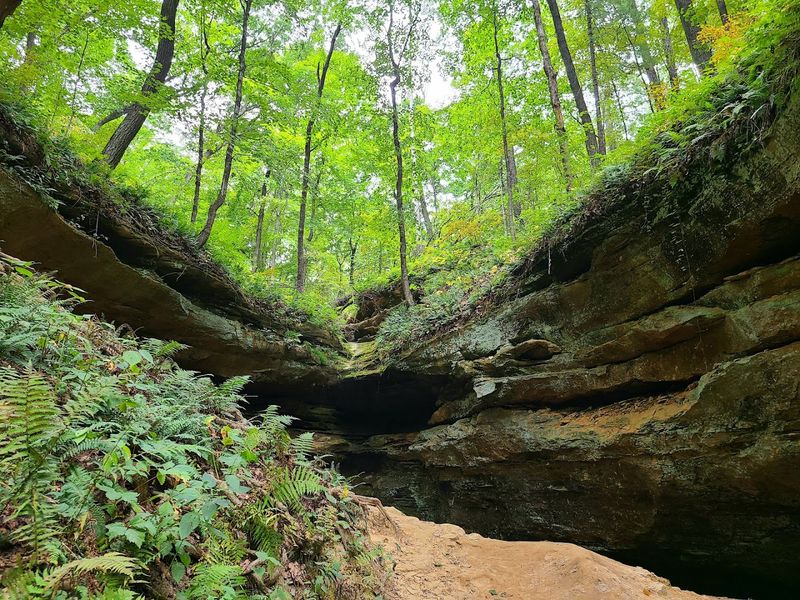 The Sandstone Cliffs That Stop You Mid-Step