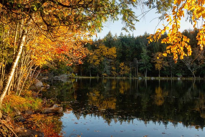 Best Times Of Year To Visit Ada Lake