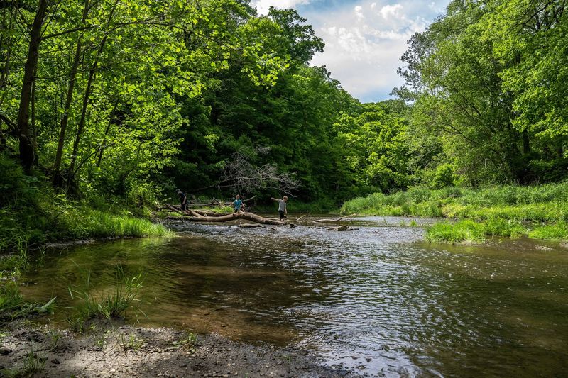 Camping, Picnicking, And Staying Longer Than A Day