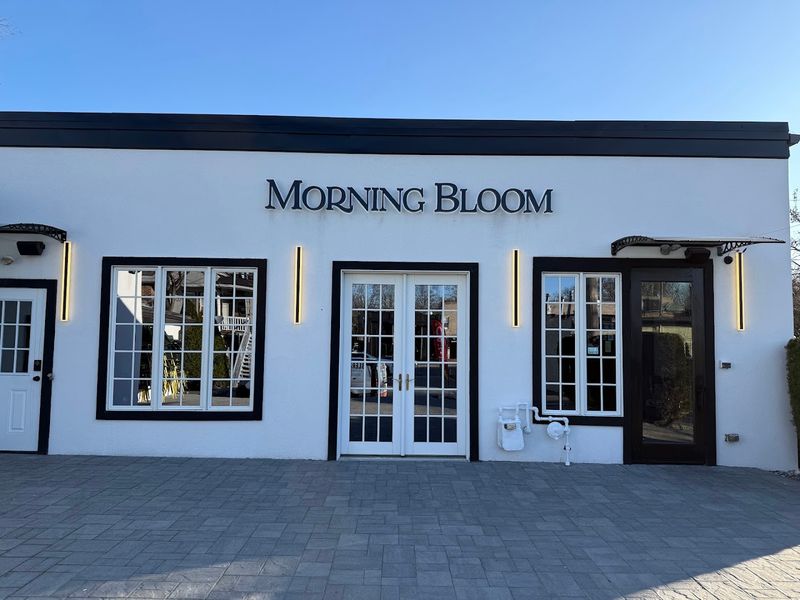 Morning Bloom 