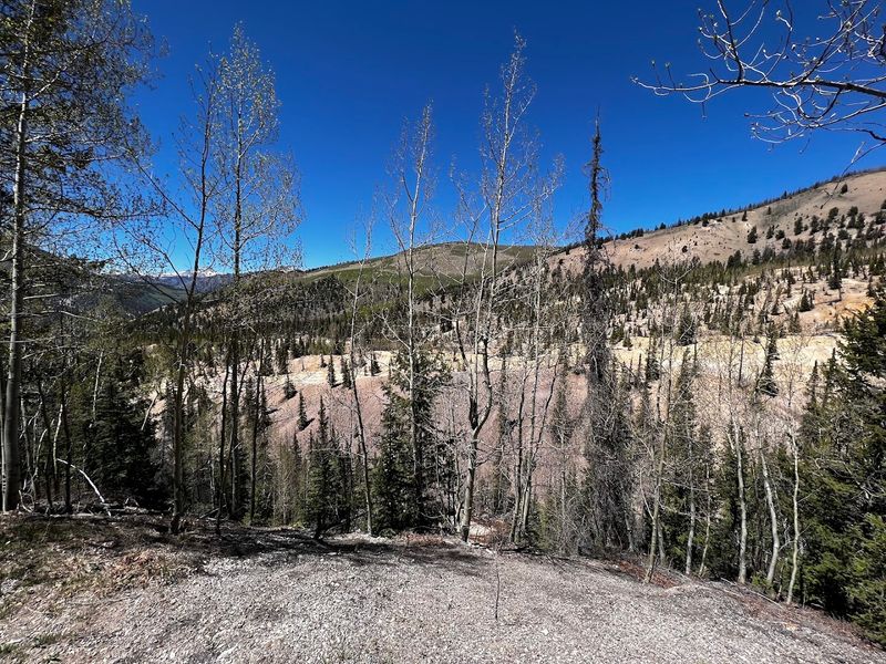 The Slumgullion Earthflow Is Still On The Move