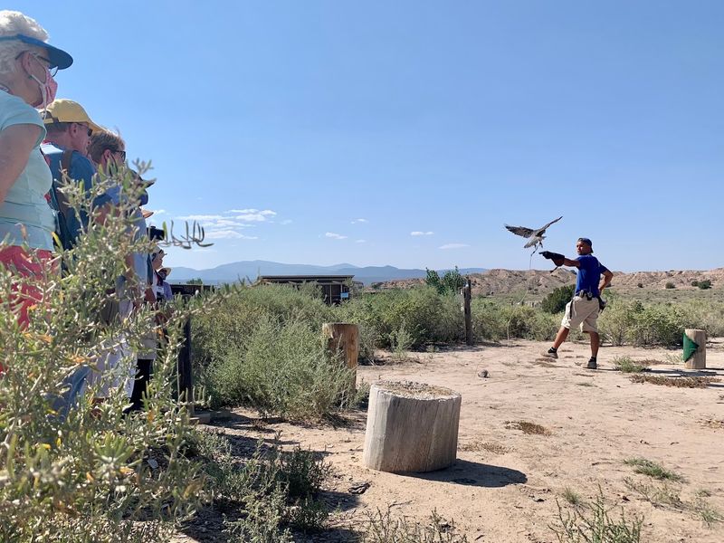 High Desert Views Set The Scene For Wild Encounters