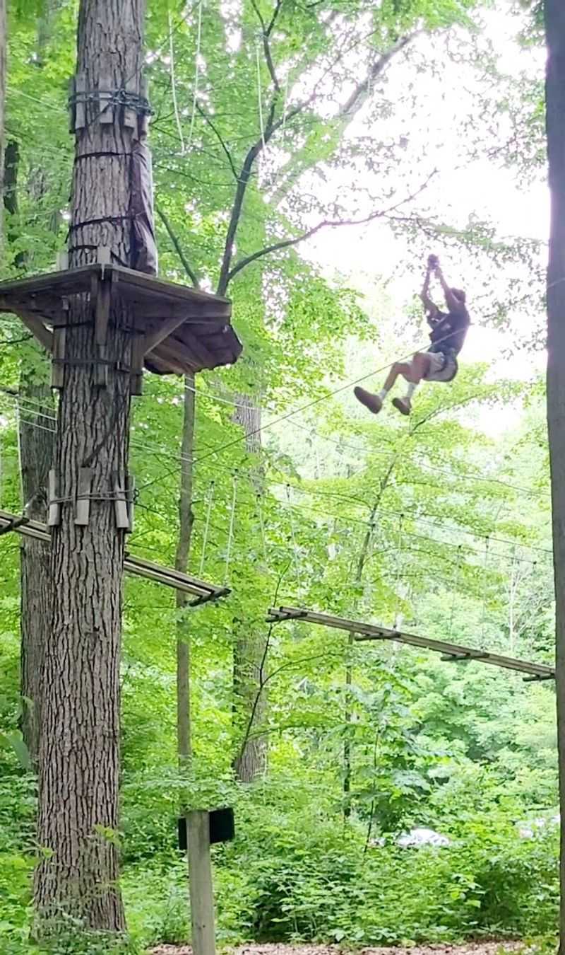 What Kids Experience Up In The Trees