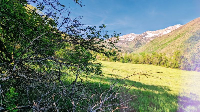 Big Springs Hollow Trail