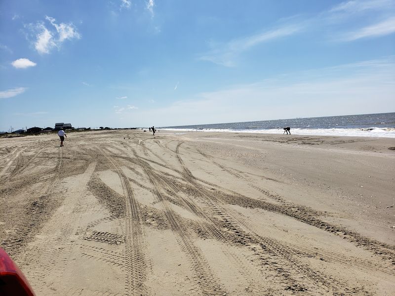 Holly Beach