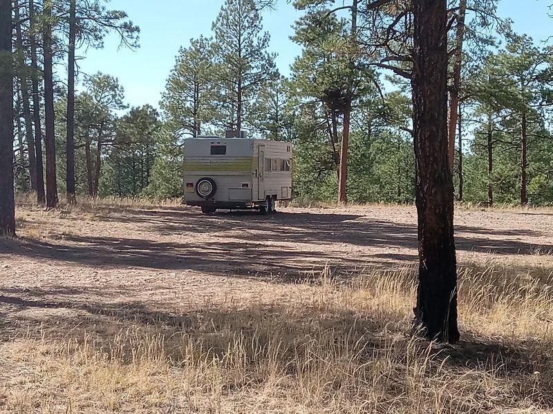 Wolf Hollow Campground, Magdalena