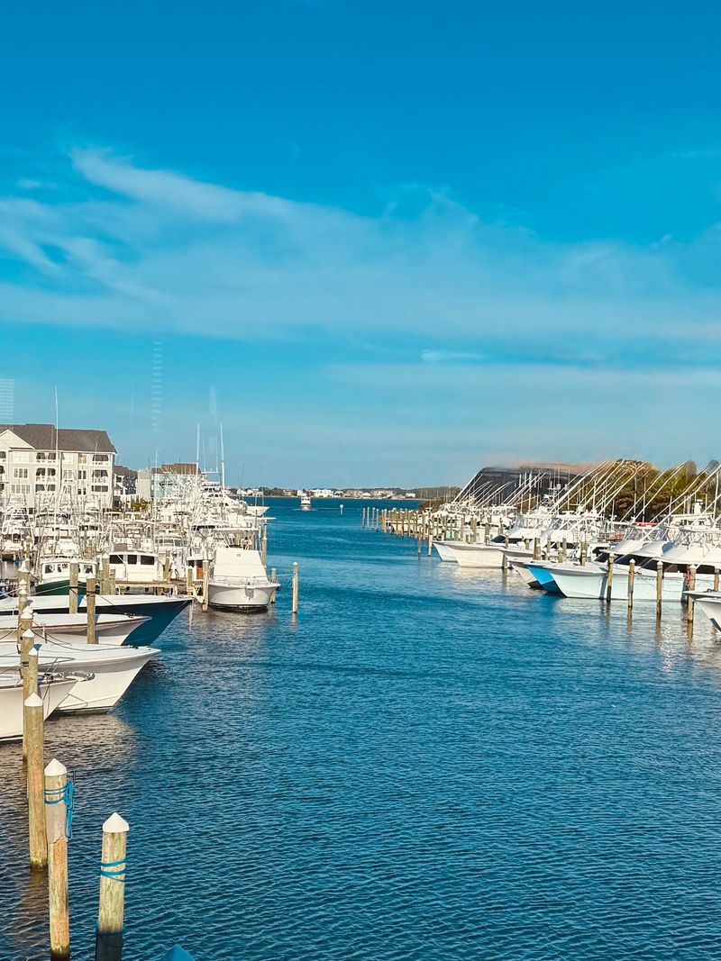 Hours, Prices, and Planning Your Visit