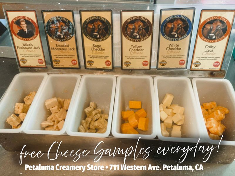 Free Samples That Make Choosing Easy