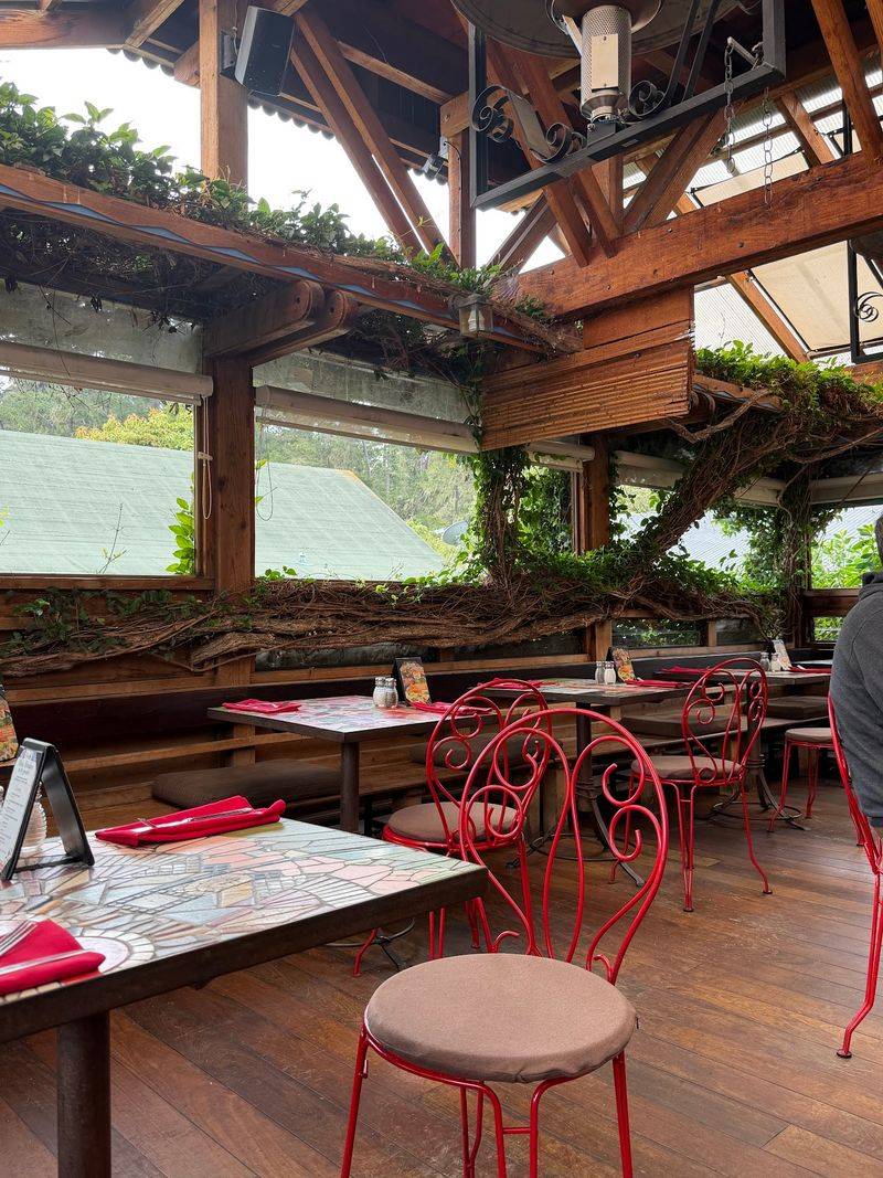 A Historical Building With a Treehouse Heart