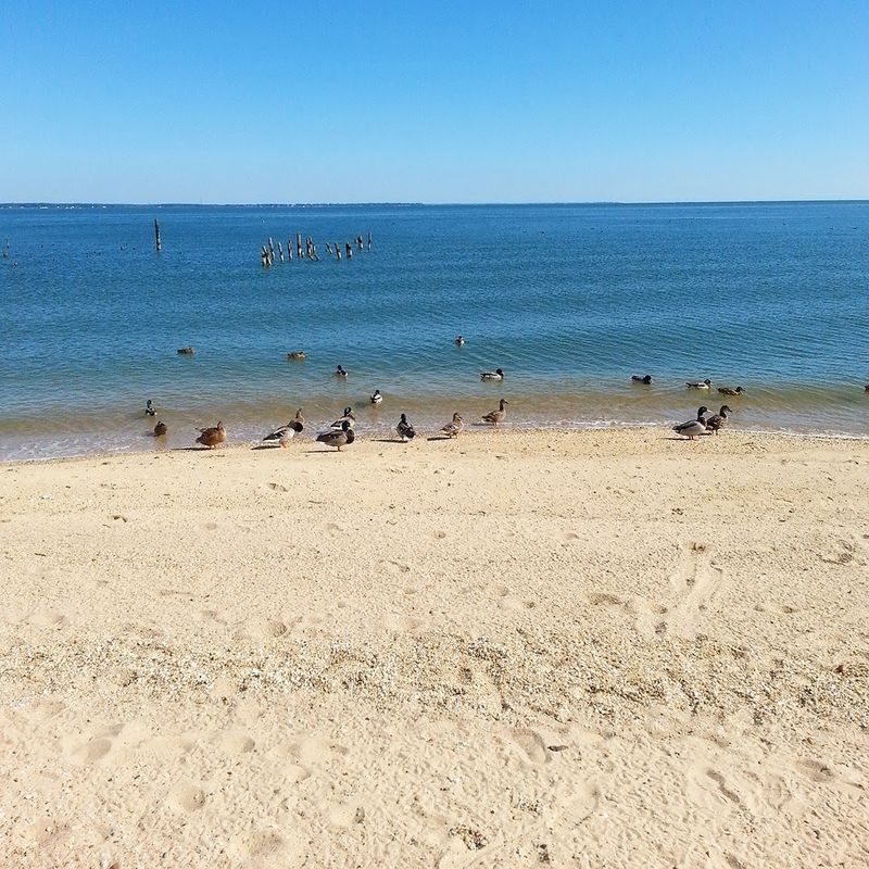 The Beach Is Still Writing Its Next Chapter