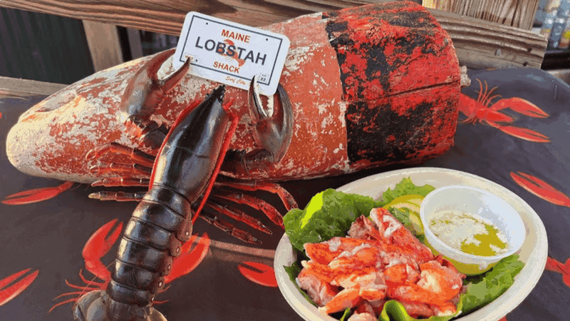 Fresh Maine Lobster Sits At The Center Of The Menu
