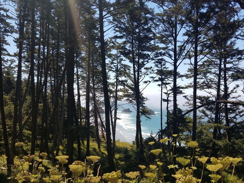 The First Clear View Of The Cove Changes The Whole Walk