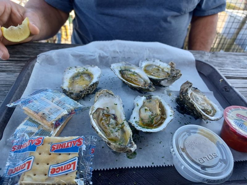 Oysters Fresh From the Gulf