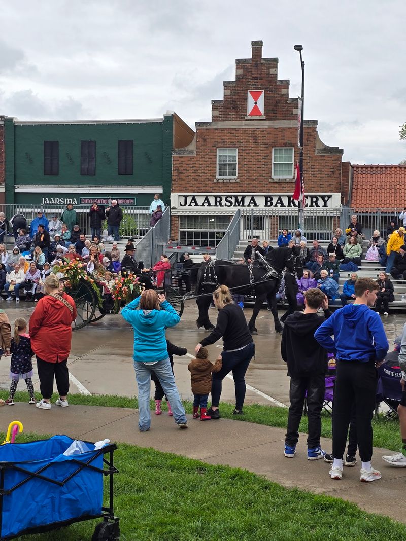 Tulip Time Turns Everything Up To Eleven