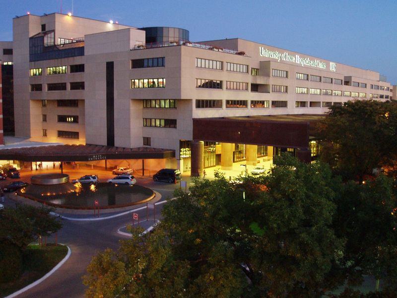 How A College Town Became A Healing Hub
