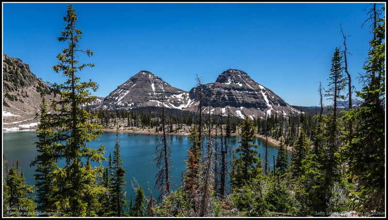 What the Elevation Is Actually Telling You