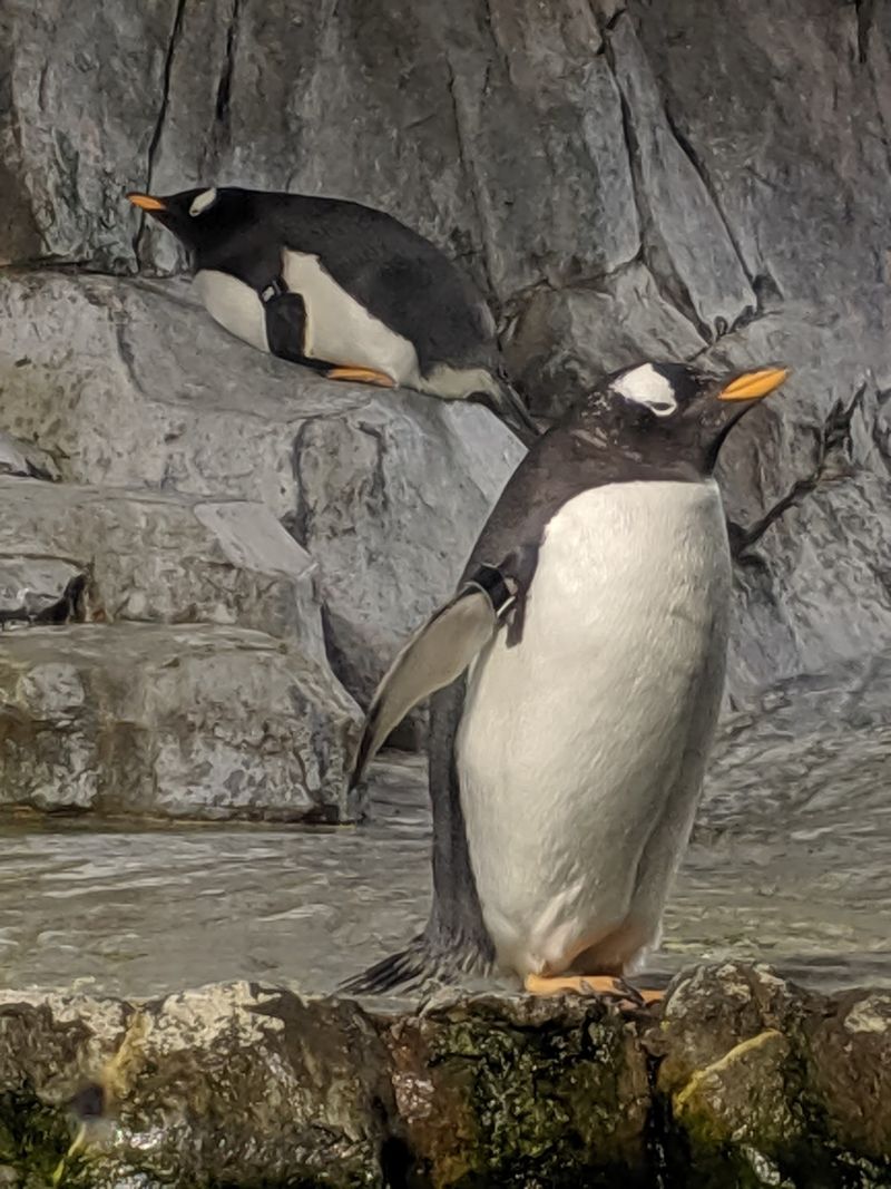 Why This Utah Aquarium Belongs On The Bucket List