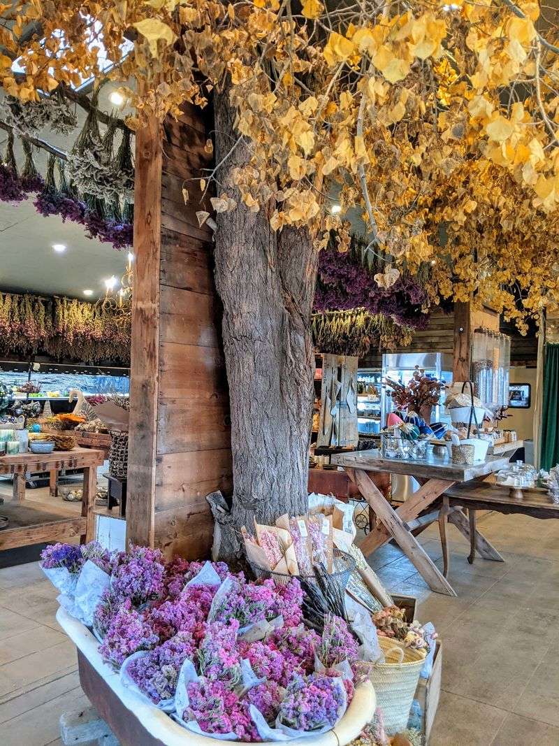 The Shoppe Where Drying Herbs Do The Selling