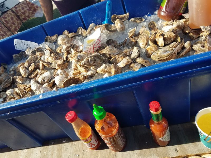 South Carolina Oyster Culture Gives The Festival Its Lowcountry Roots