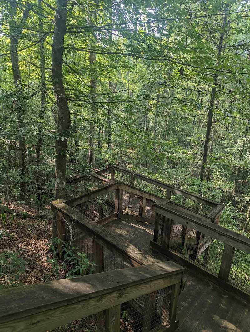 Respect The Boardwalks And Stay Off The Stone