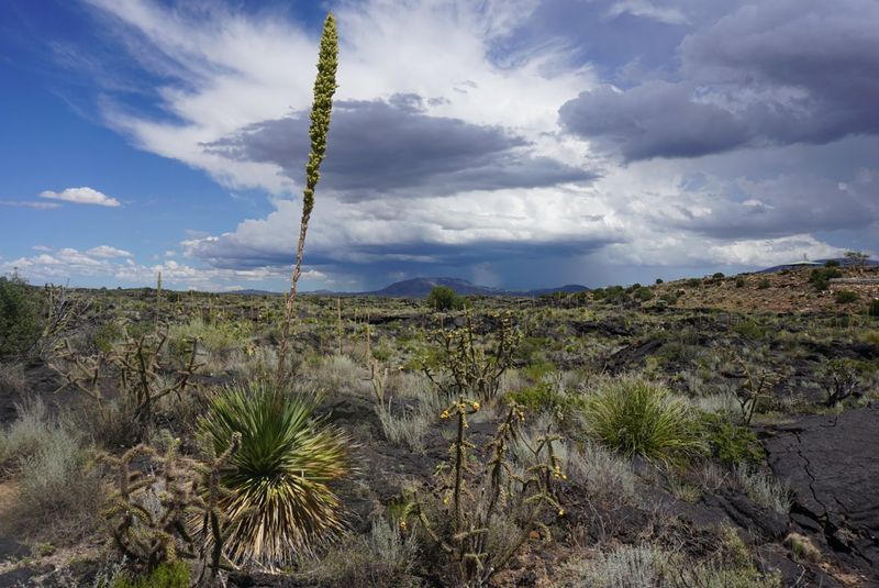 Blackened Rock And Rugged Desert Views