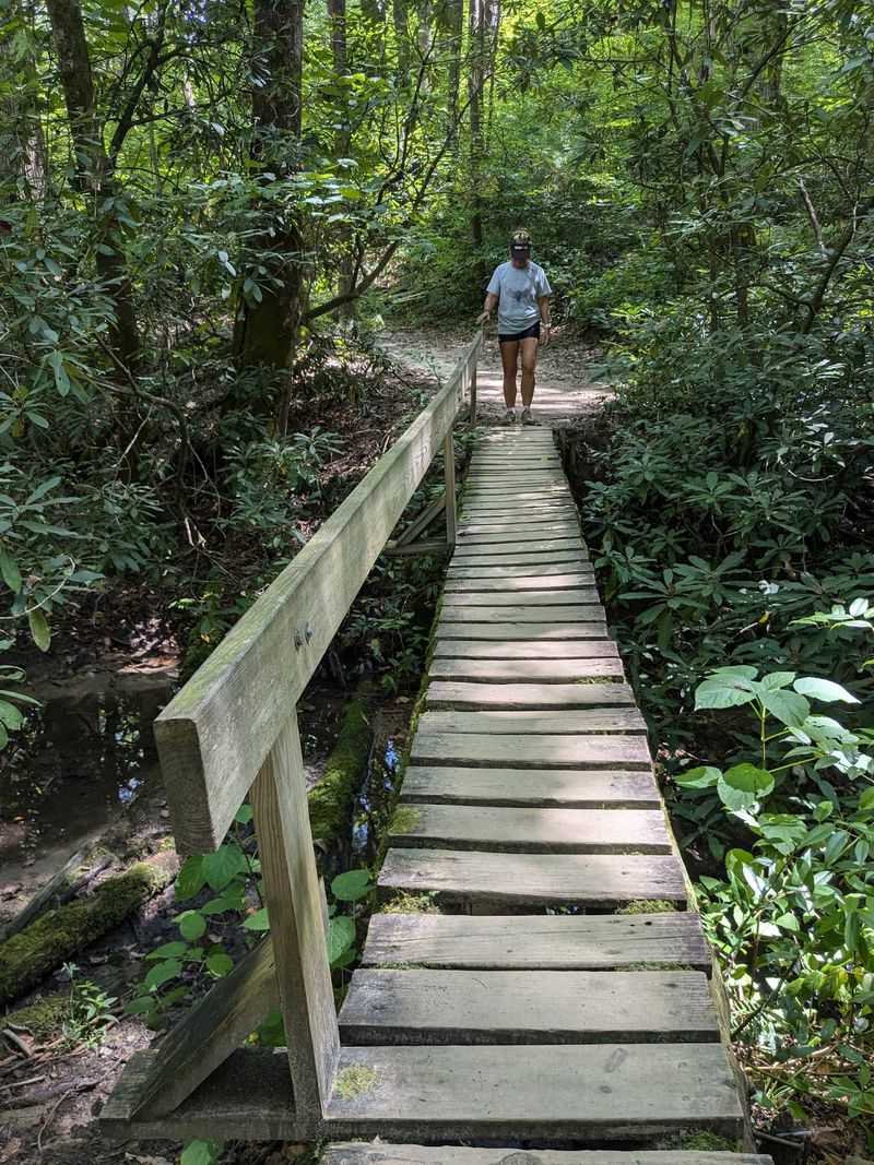 Cantilevered Boardwalks Give Your Boots A Change Of Scenery