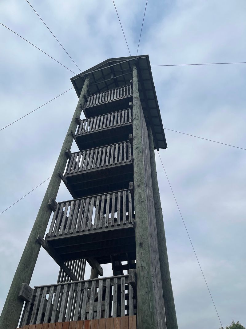 Climbing 65 Feet Before The Real Fun Starts