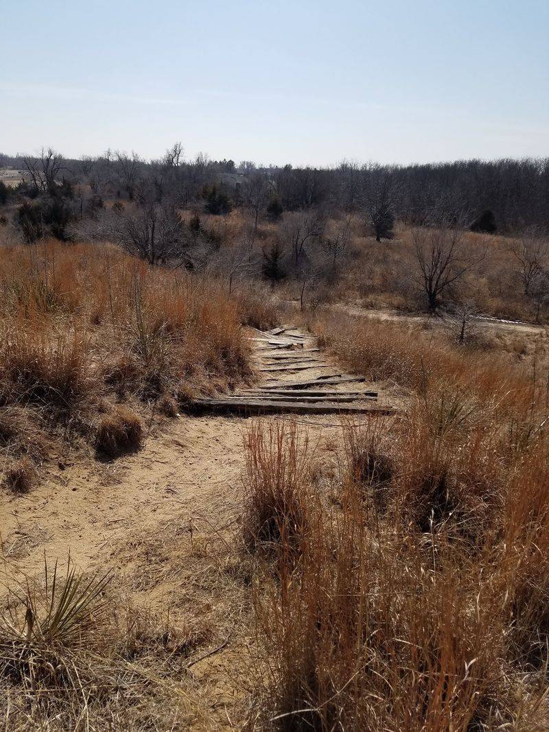 Dune Trail At Sand Hills State Park, Hutchinson, Kansas