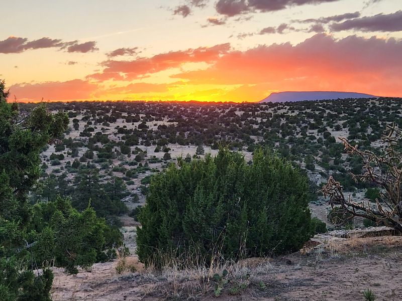 Joe Skeen Campground, Grants