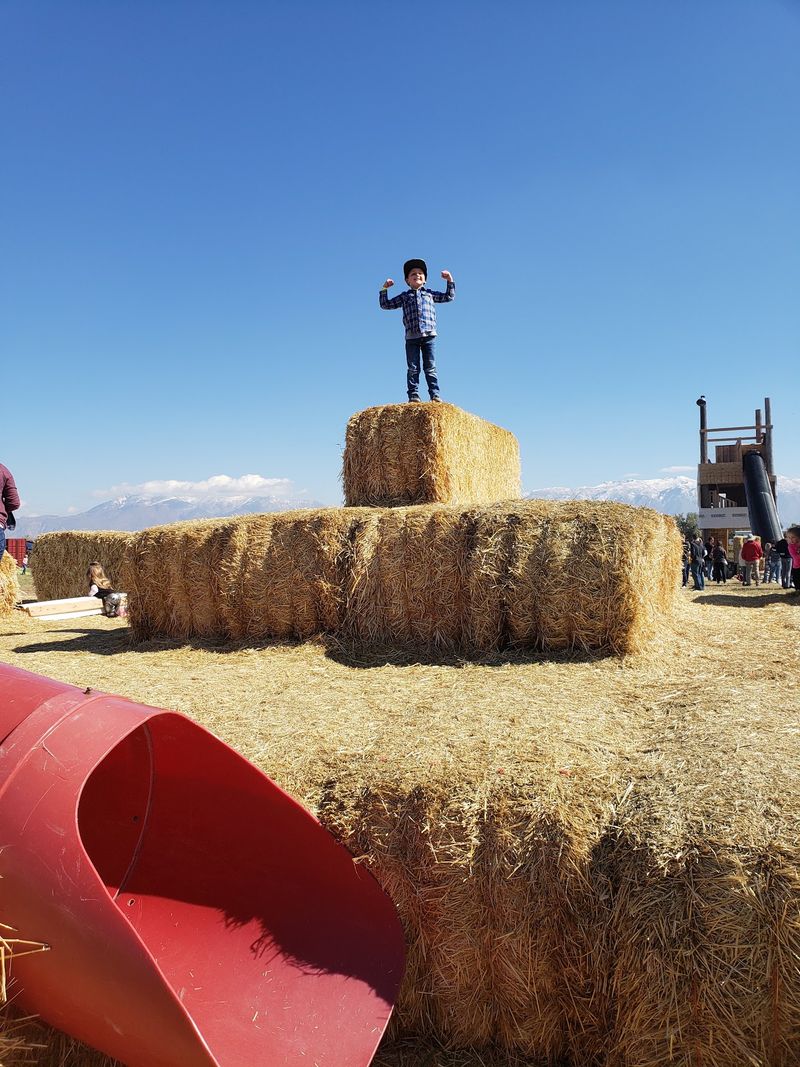 A Seasonal Utah Outing That Knows What It Is