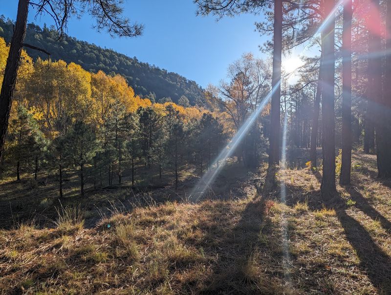Head Of The Ditch Campground, Luna