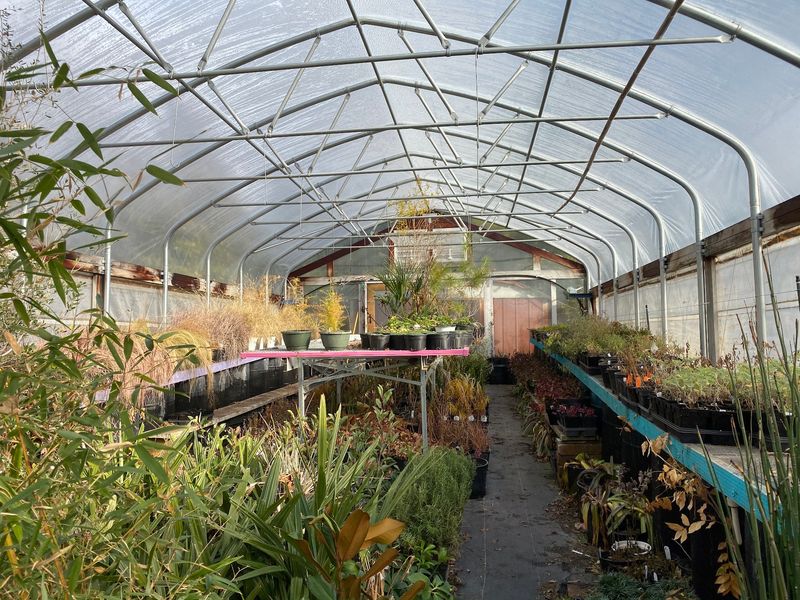 The Cactus Section Steals The Show
