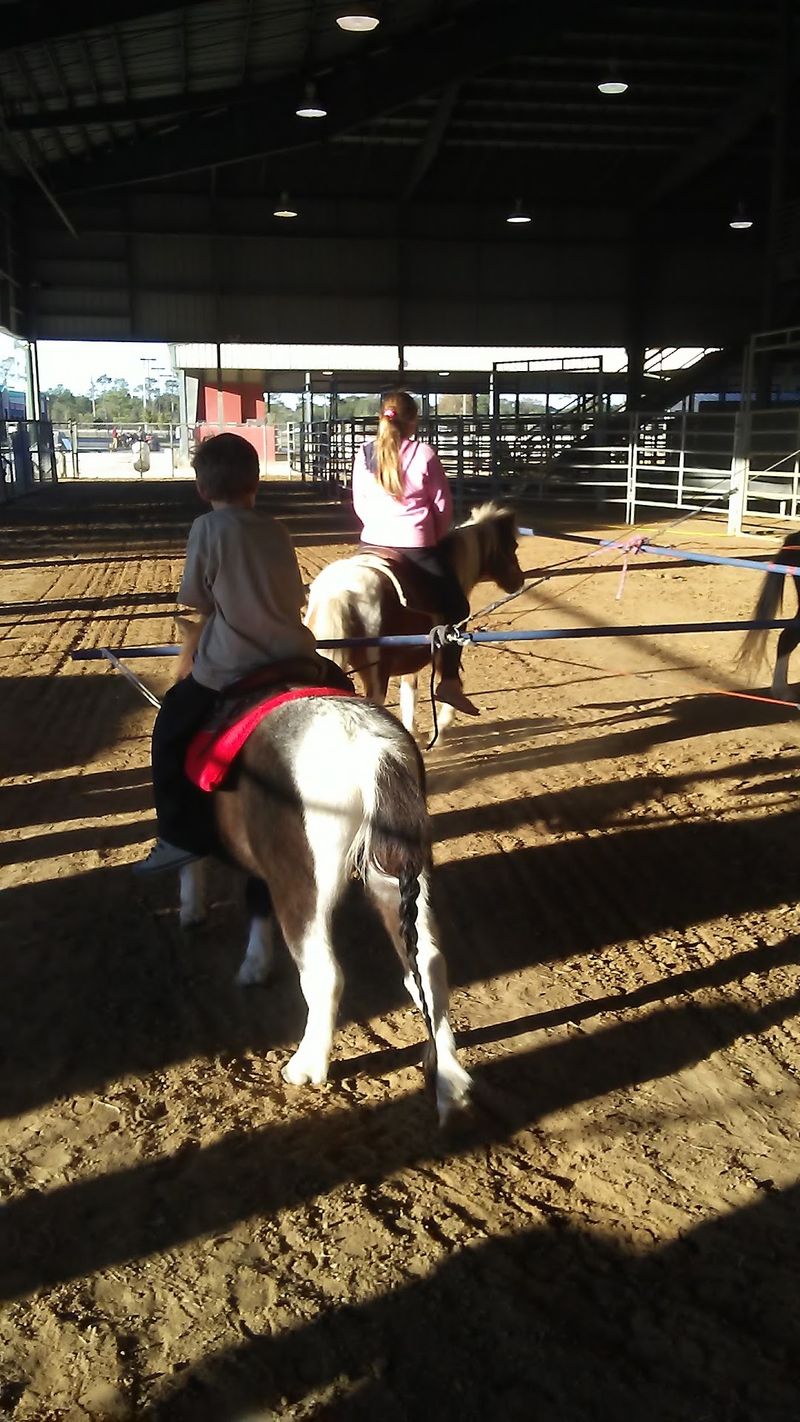 Make Time For The Livestock Shows