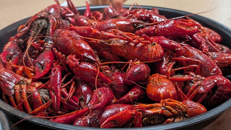 Understand Why The Crawfish Taste Cleaner