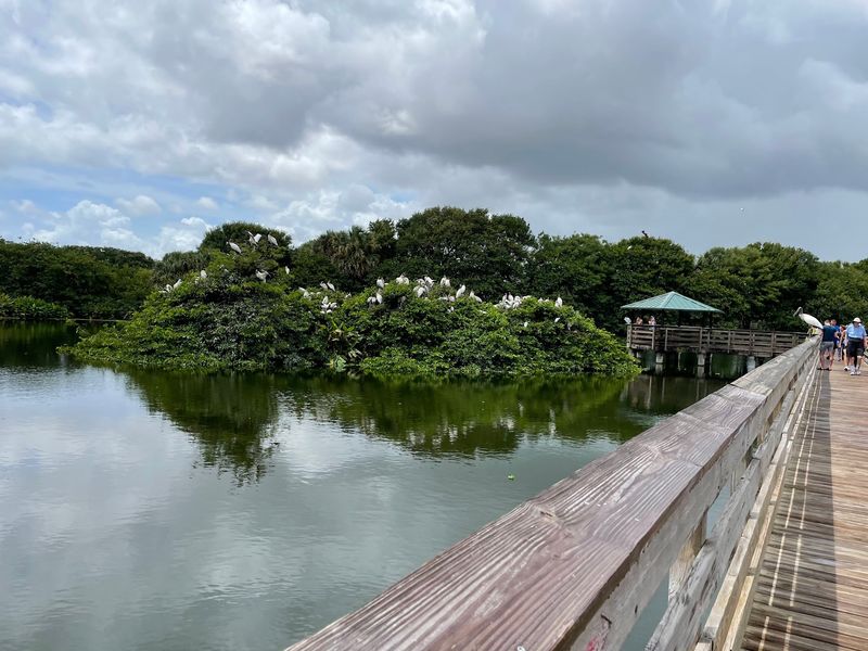 Wakodahatchee Wetlands