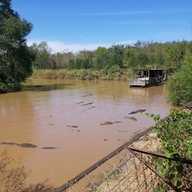 Save A Little Time For The Bayou Tour