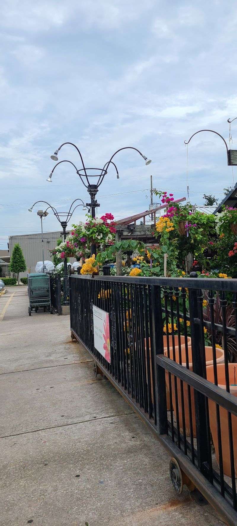 Look Up At The Hanging Baskets Before Anything Else