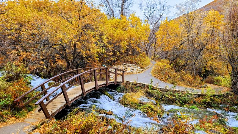 Cascade Springs Interpretive Trail