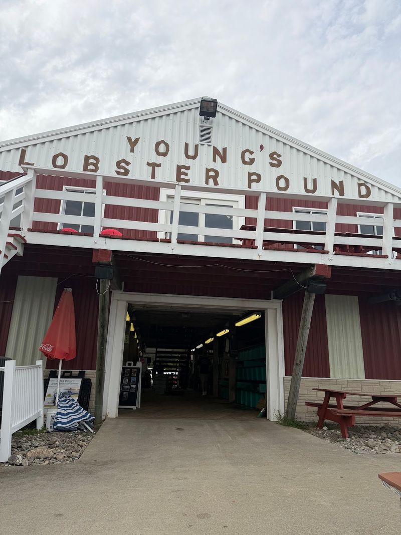 Young's Lobster Pound