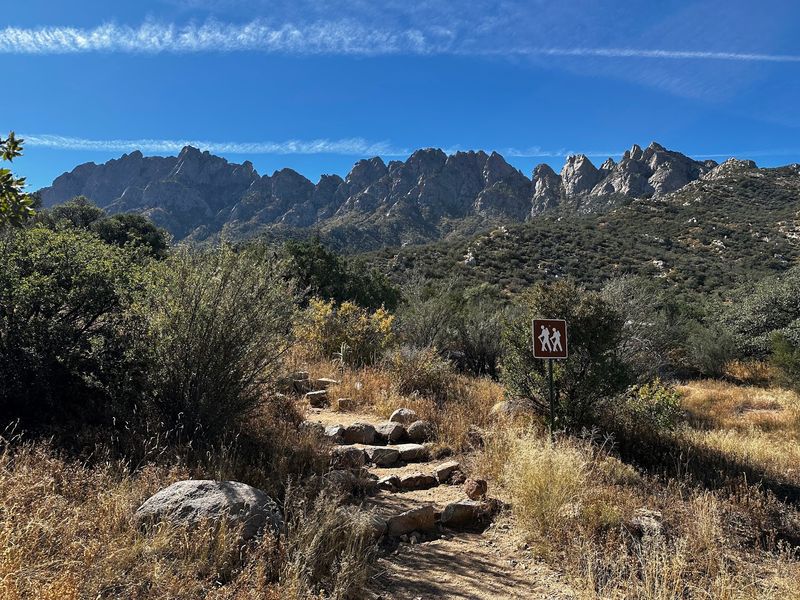 Pine Tree Loop Trail Head