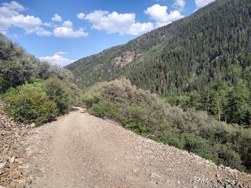 A Canyon Stop Where The Plan Gets Simple