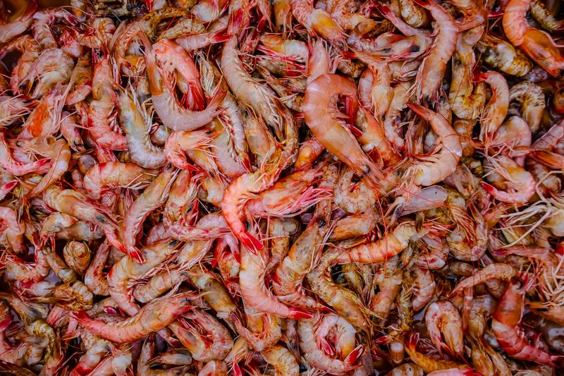 Sebastien’s West End Seafood Market