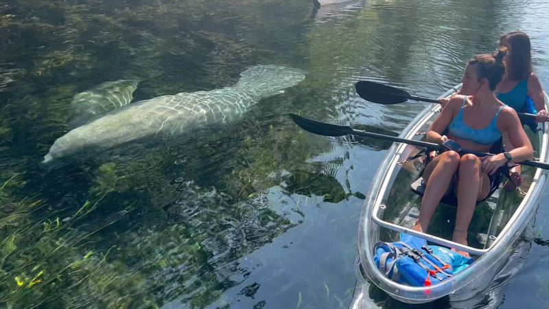 Silver Springs State Park, Ocala