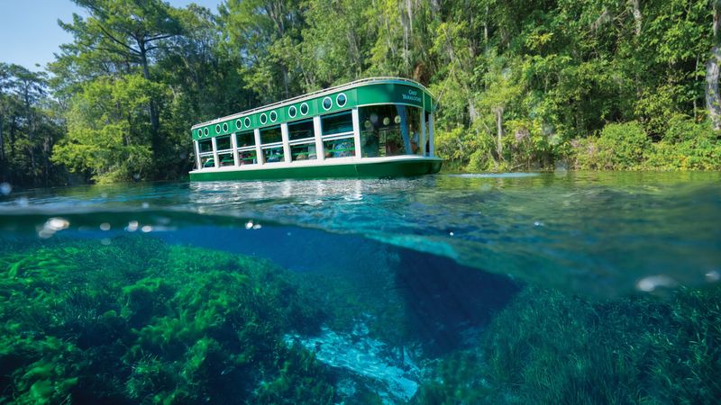Silver Springs State Park