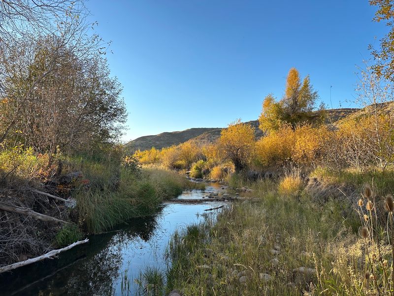 Where The Upper Provo River Slows Down