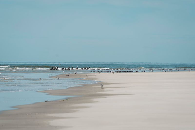Beaches, Marshes, And Dunes Cover This Undeveloped Island
